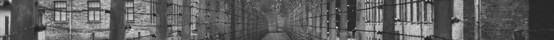 Campo de concentración de Auschwitz