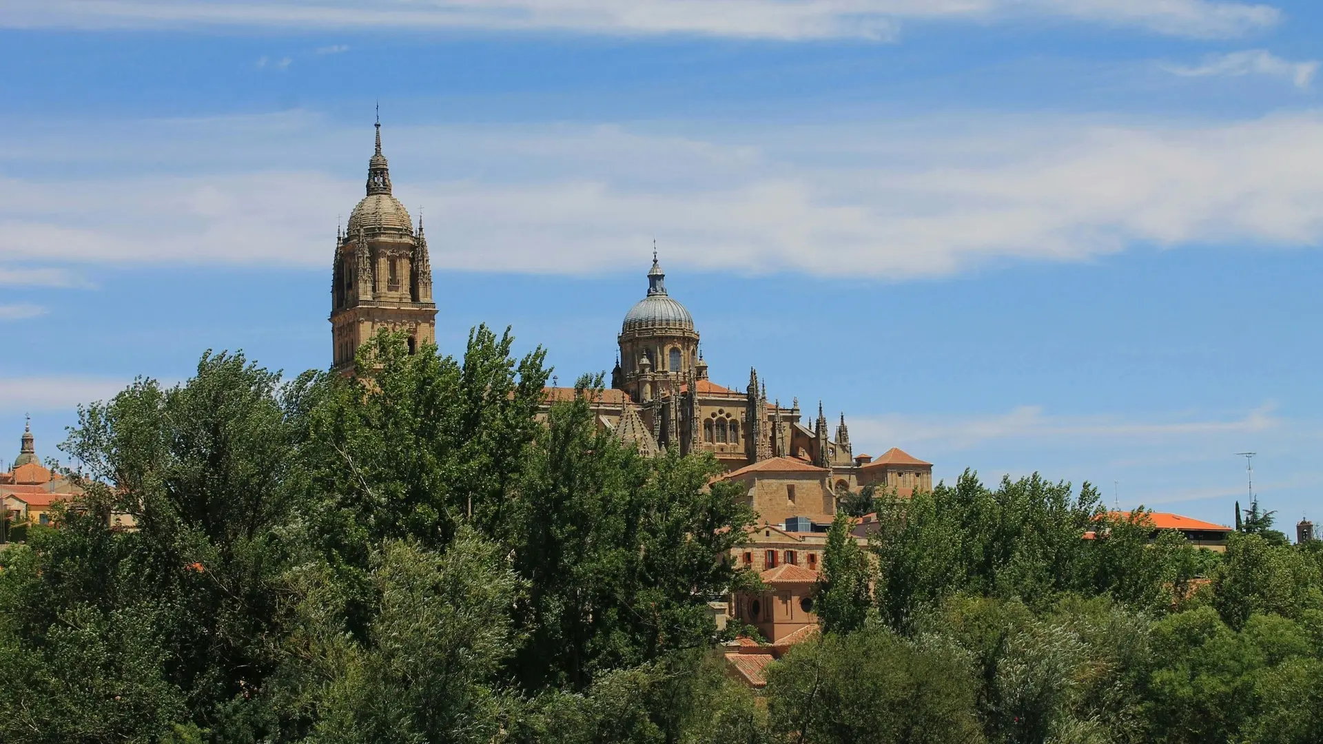 Vista panorámica de la Catedral de Salamanca, España, con sus cúpulas y torre, elevándose sobre los árboles verdes.