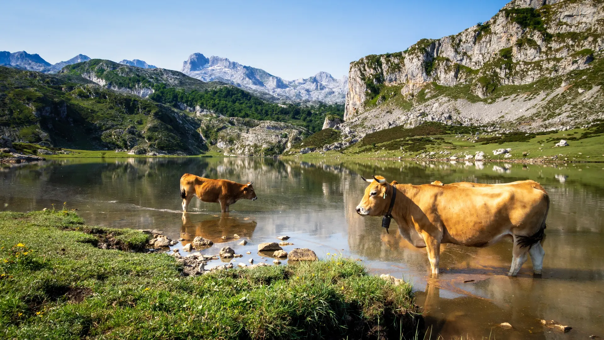 Excursión en 4x4 por los Picos de Europa desde Cangas de Onís