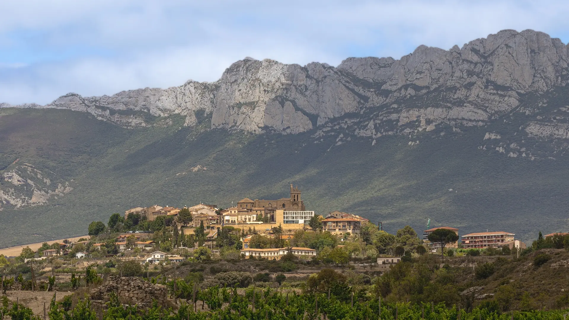 Excursión a Vitoria y La Rioja: Logroño y bodega en Laguardia desde Vitoria 