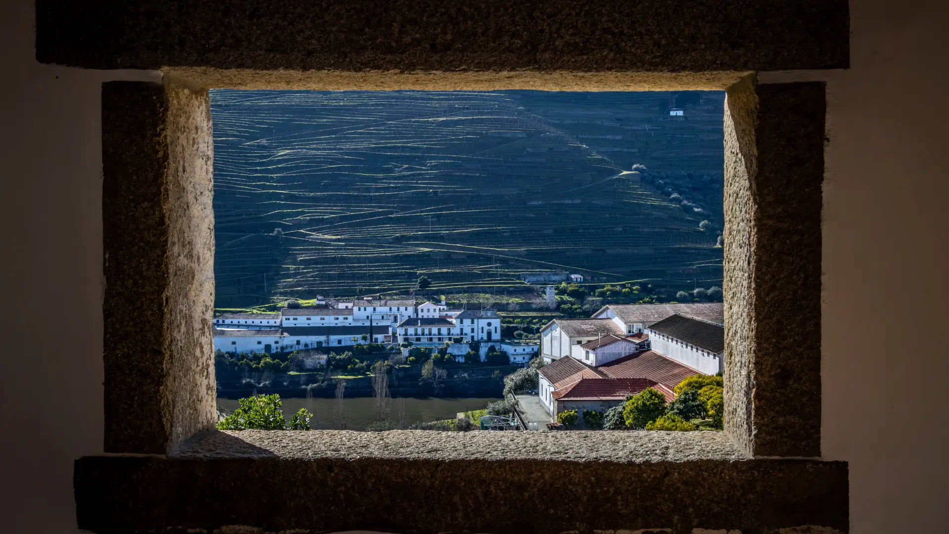 Excursión por el Valle del Duero con cata de vinos, crucero por el río y visita a Lamego desde Oporto - buendía