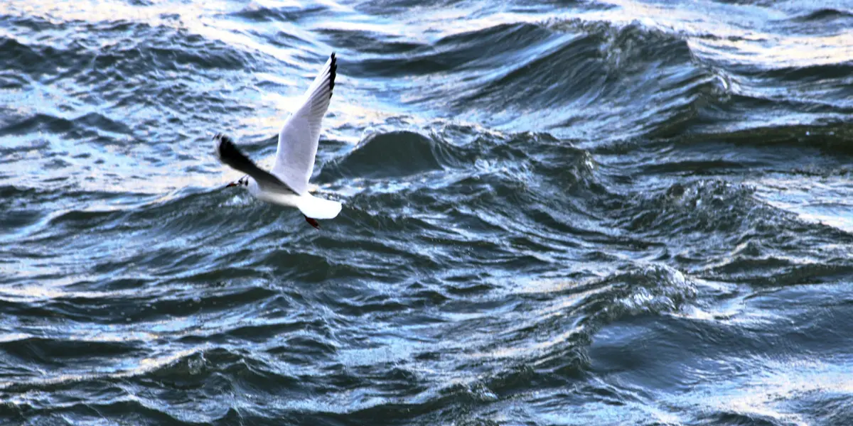 Sabías qué río Sena