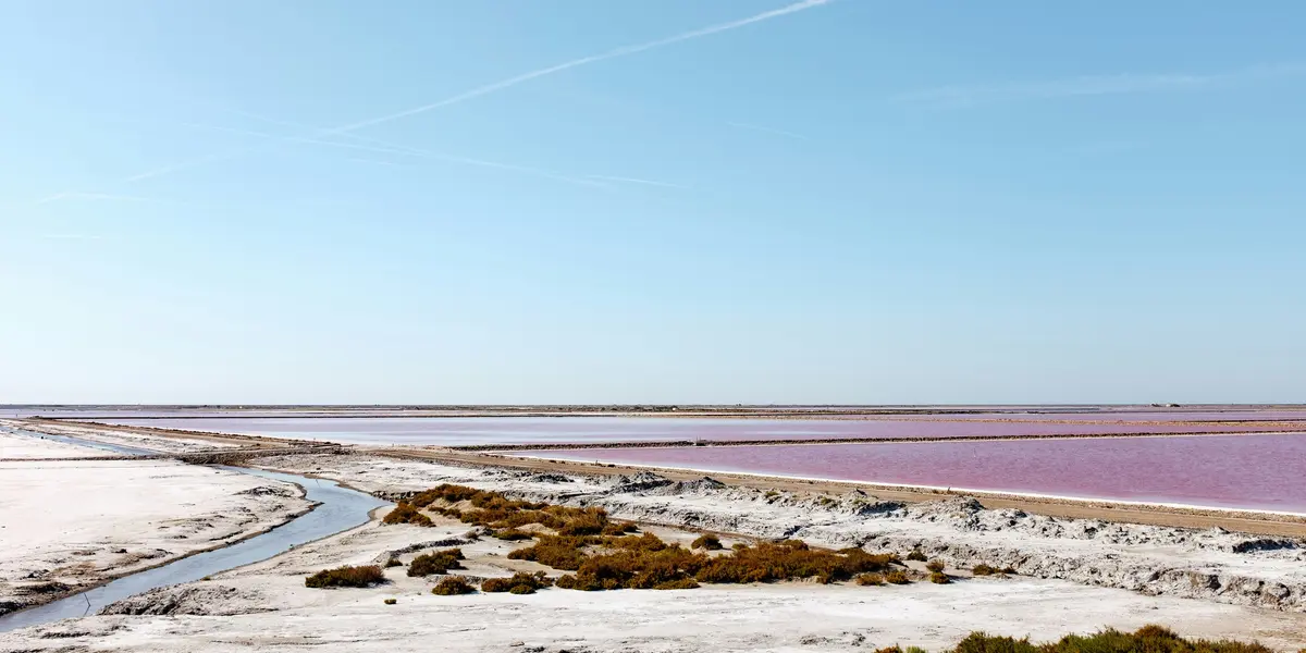 Imagen de la Laguna Rosa
