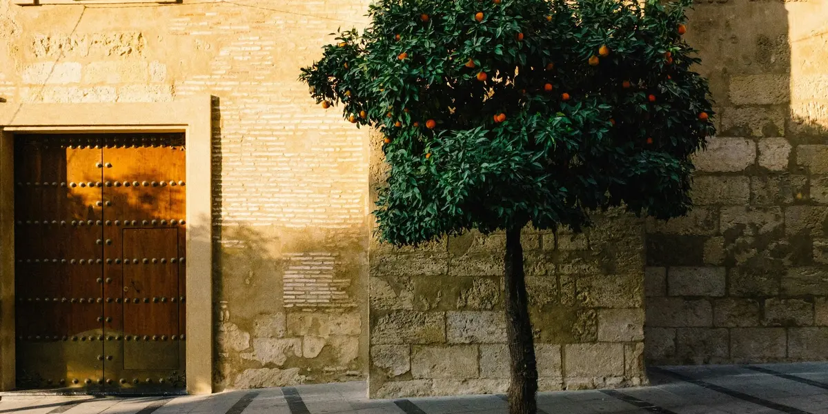 Mermelada Real Alcázar