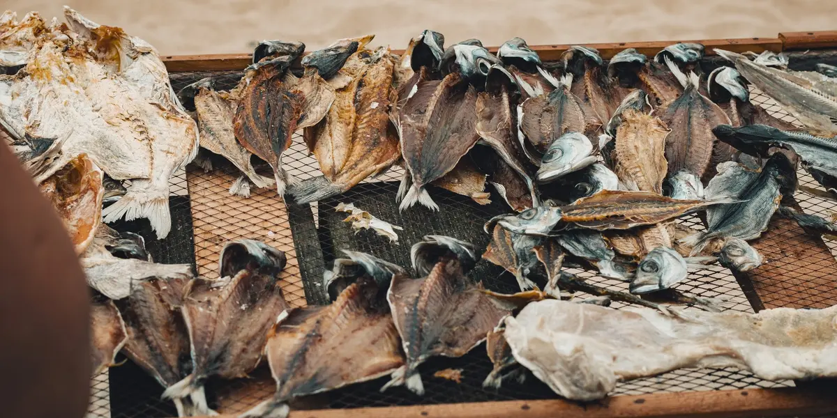 Pescado secándose al sol en rejillas de madera en la playa de Nazaré, Portugal.