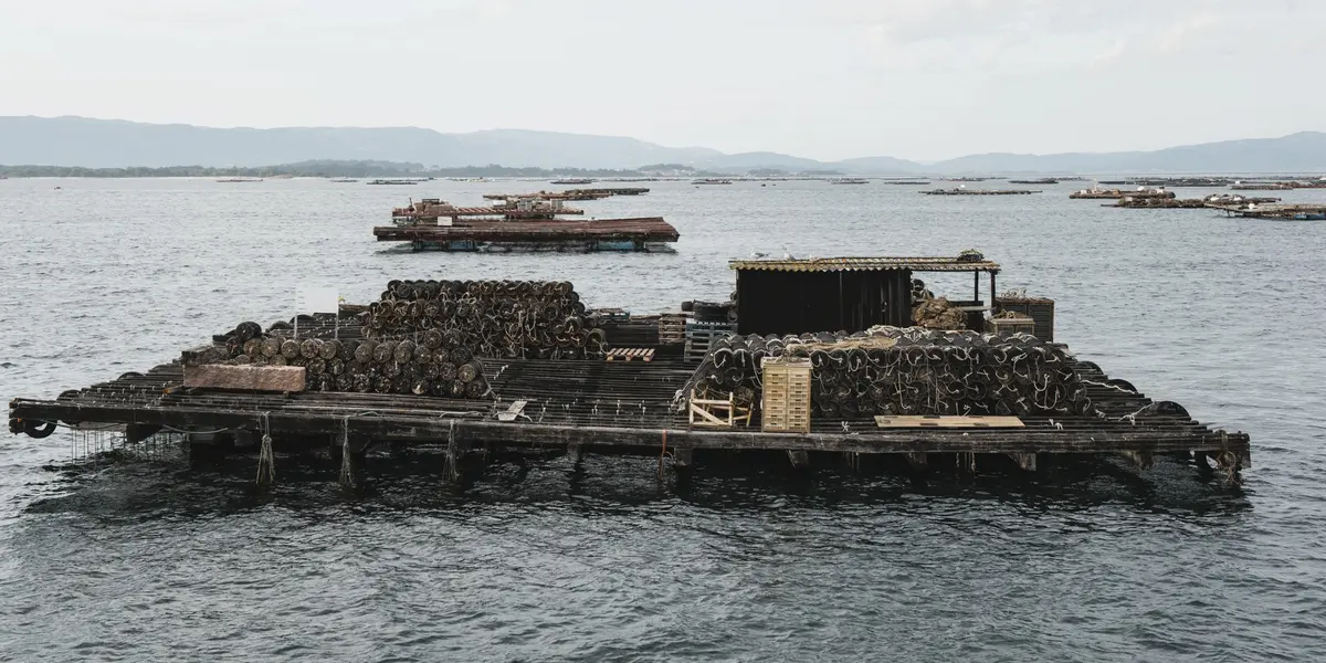 Batea de mejillones flotando en las Rías Baixas, Galicia