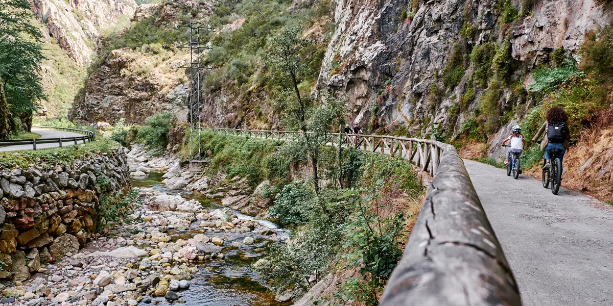 Senda del Oso, Proaza, Asturias