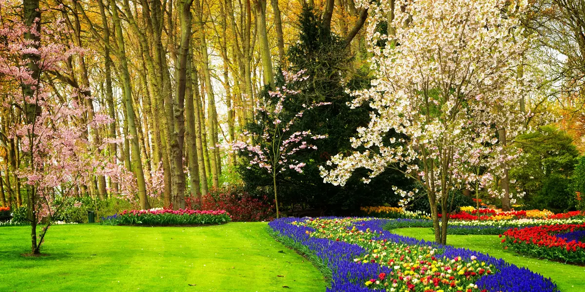 Tulipanes de Keukenhof Utrecht
