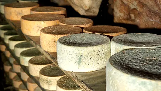 queso cabrales en la cueva
