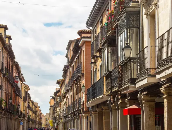 Vista de Alcalá de Henares - Free tour Alcalá de Henares - Excursiones y Actividades en Alcalá de Henares - Buendía