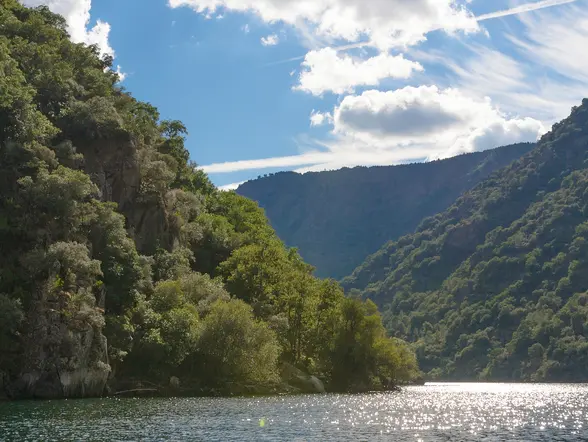 Excursión y cata de vinos en la Ribeira Sacra desde Lugo - Buendía Galicia 