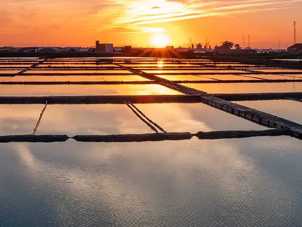 Salinas Aveiro-Visita guiada por las Salinas y Playas de Aveiro con Paseo en Moliceiro