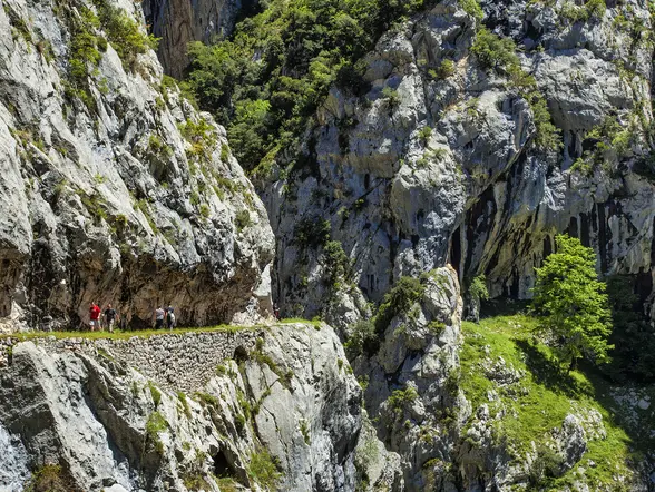 Excursión en 4x4 por Picos de Europa y ruta del Cares desde Cangas de Onís