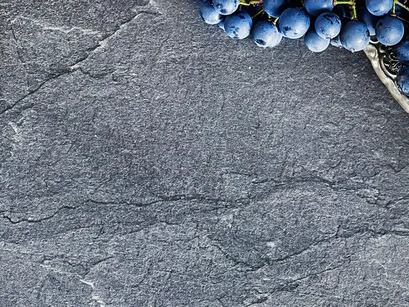 Visita a la bodega Ruiz Torres con cata