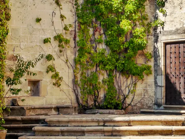 Tour a pie por Trujillo con entradas