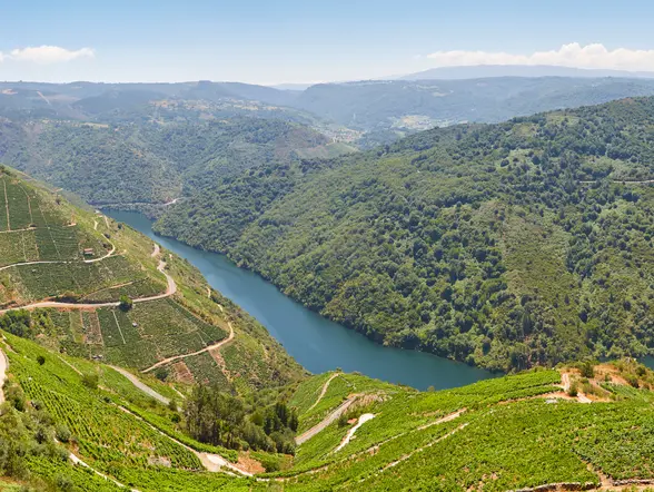 Cañones del río Sil en Ourense - Excursión a la Ribeira Sacra desde Santiago - Excursiones y Actividades en Santiago de Compostela - Buendía 