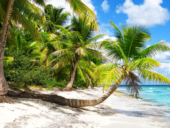 Excursión a Isla Saona con almuerzo desde Punta Cana- Tours turísticos y Actividades Buendía Republica Dominicana