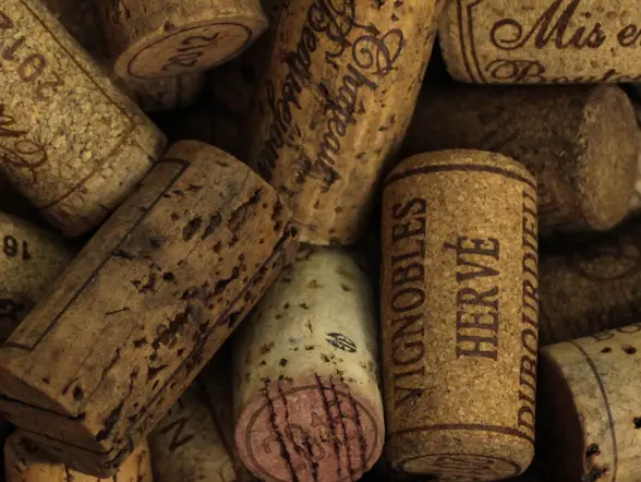 Visita a una bodega cueva con degustación en Laguardia