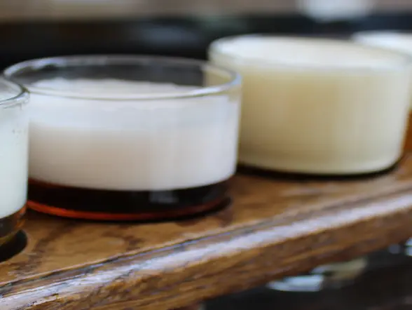 Distintas variedades de cervezas de Brujas - Visita al Museo de la Cerveza de Brujas con degustación - Excursiones y Actividades en Brujas - Buendía