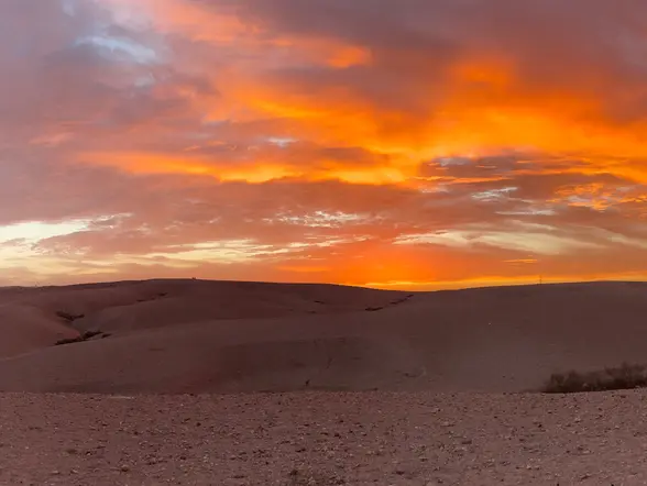 Cena y paseo en camello por el desierto de Agafay - buendía