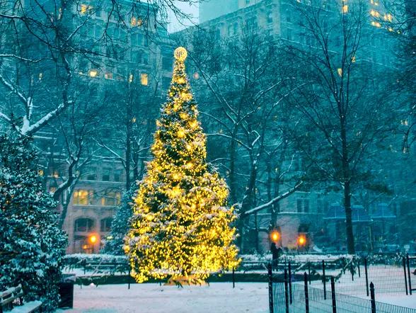 Tour Dyker Heights y luces de Navidad en Nueva York - buendía