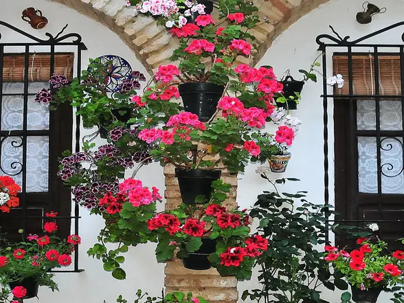 Visita a los patios de Córdoba con entradas incluidas