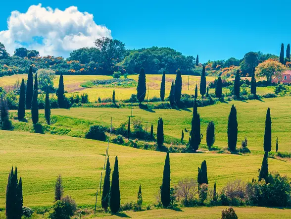 Excursión a Pienza y Montepulciano con cata de vinos - Visitas guiadas y Excursiones en español Buendía Italia