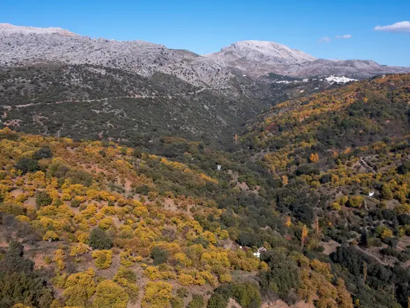 Vía ferrata en Benalauría