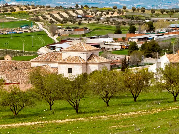 Visita a la Bodega del Nero