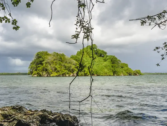 Excursión a los Haitises y Cascada Rancho Yanigua.