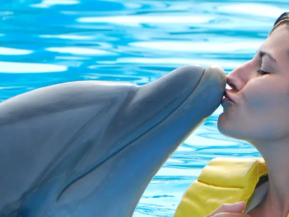 Visita a la Dolphin Island de Punta Cana