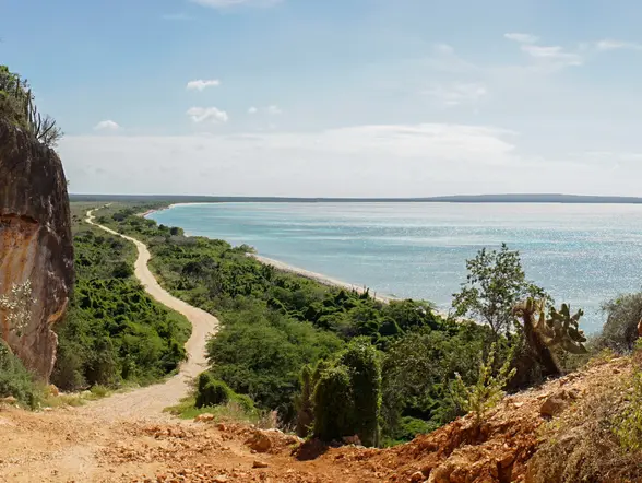 Excursión a la Bahía de las Águilas