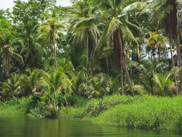 Safari en Punta Cana