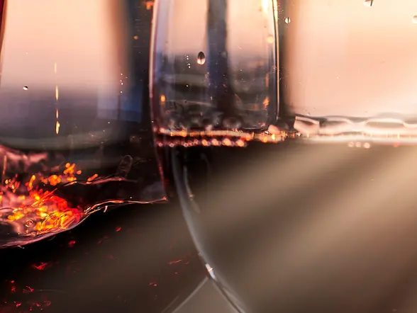 Visita Bodega Arizcuren y cata