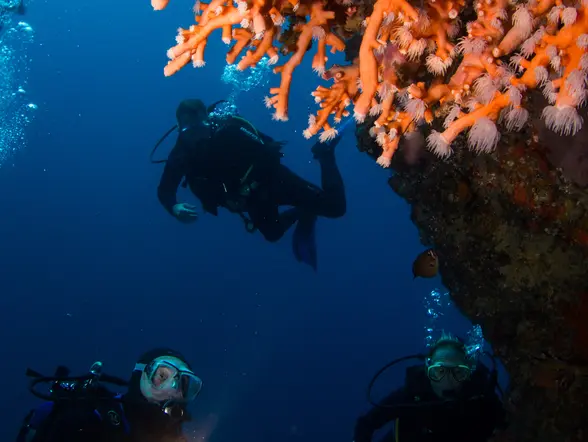 Bautismo Buceo Puerto Carmen Inmersiones Lanzarote Dive Skuba Canarias