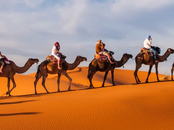 Paseo en camello al atardecer por el Palmeral