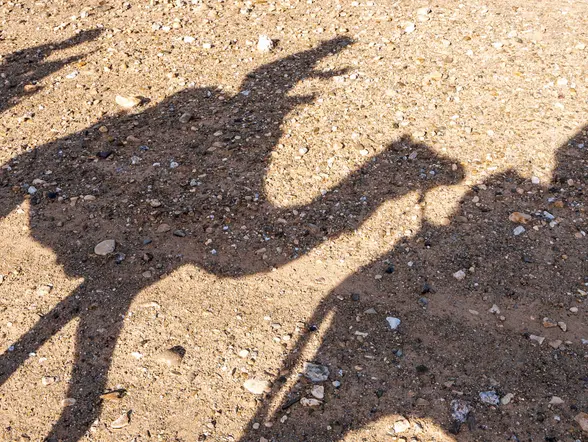 Paseo en camello y ruta en quad en el desierto de Agafay - buendía