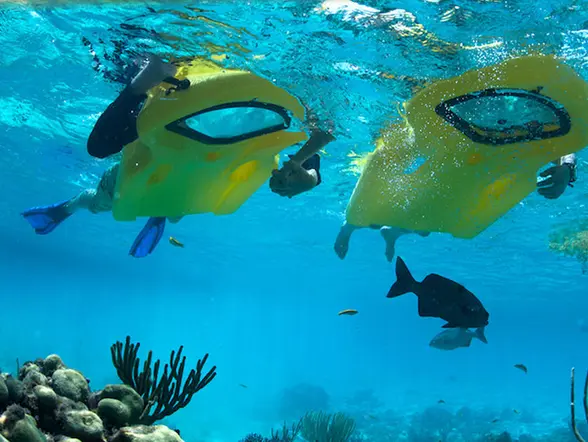 alquiler Glass Bottom Costa Teguise Lanzarote Buceo Canarias