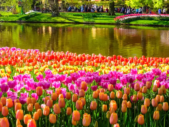 Entrada a los Jardines de Keukenhof