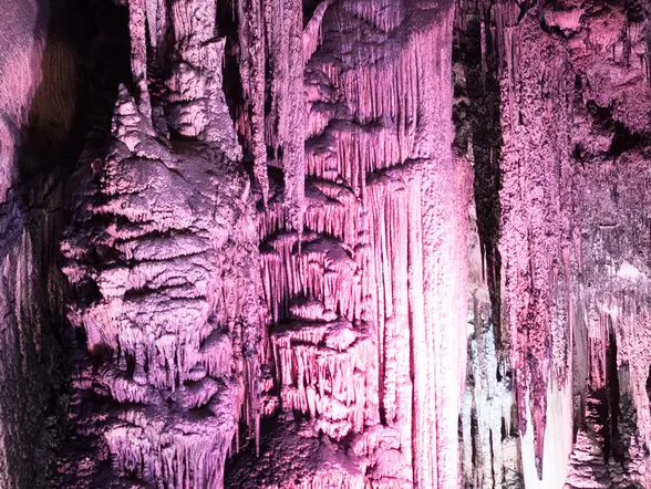 Excursión a las Cuevas del Drach