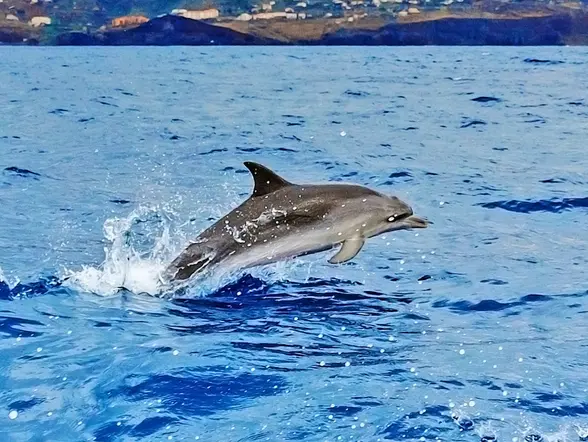 Paseo en la Carabela de Cristóbal Colón