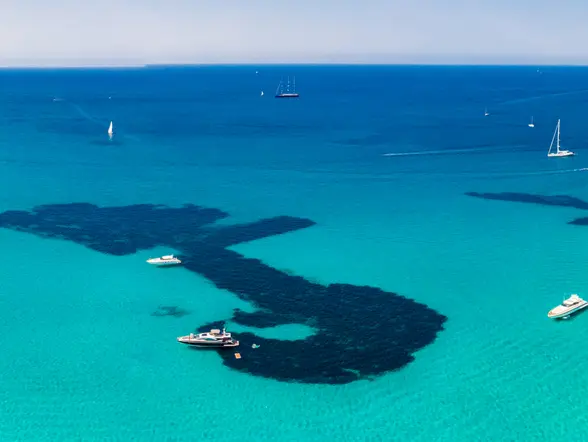 Excursión en Catamarán a Es Trenc y Es Cargol desde Sant Jordi