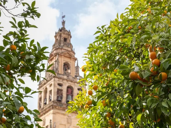 Visitar la Mezquita de Córdoba