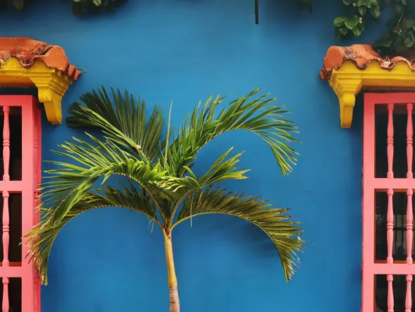 Tour privado Cartagena de Indias