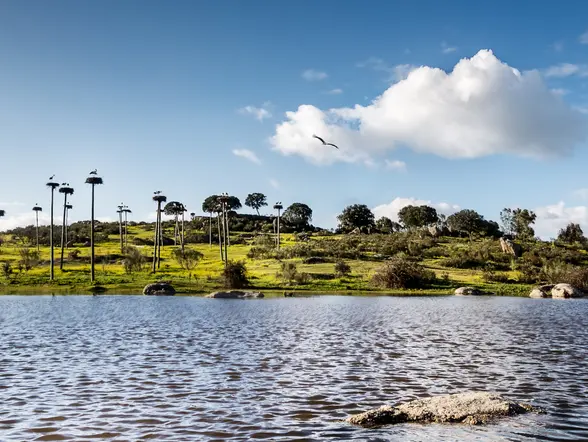 Desde Cáceres: Excursión a los Barruecos