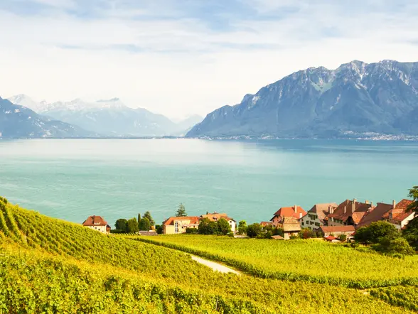 Excursión por la Riviera Suiza desde Ginebra