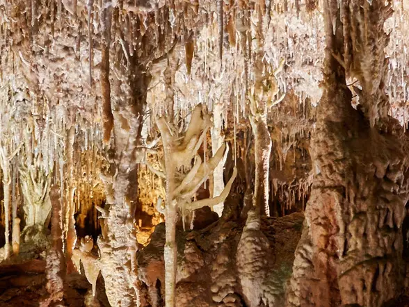 Excursión a las Cuevas Hams