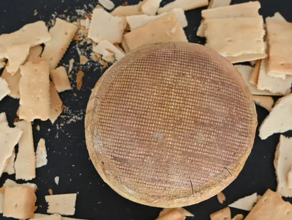 Excursión a una quesería local desde Cáceres