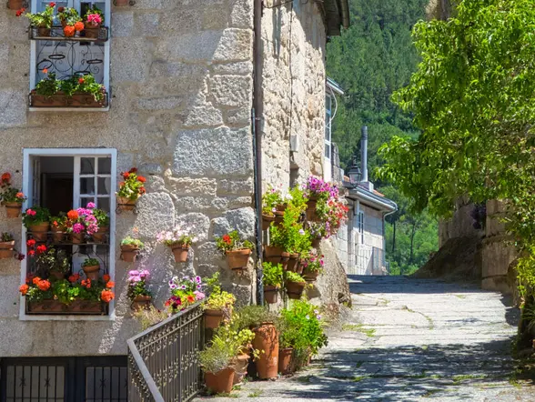 Free Tour por Ribadavia