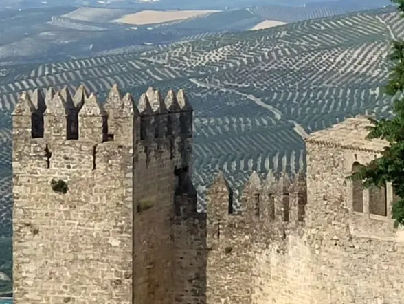 Visita Guiada del Castillo de Sabiote